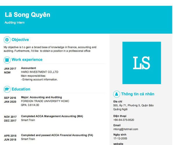 Mẫu CV Auditing Intern