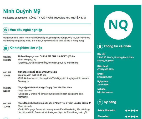 Gợi ý cách viết Mẫu CV tham khảo marketing excecutive - CÔNG TY CỔ PHẦN THƯƠNG MẠI nguYỄN KIM