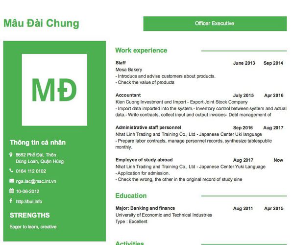Mẫu CV Officer Executive