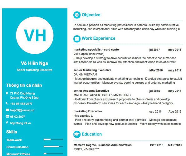 Mẫu CV Senior Marketing Executive