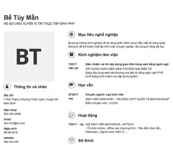 Mẫu CV HỒ SƠ ỨNG TUYỂN VỊ TRÍ THỤC TẬP SINH PHP