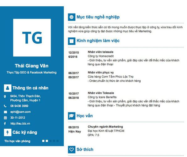 Mẫu CV Thực Tập SEO & Facebook Marketing