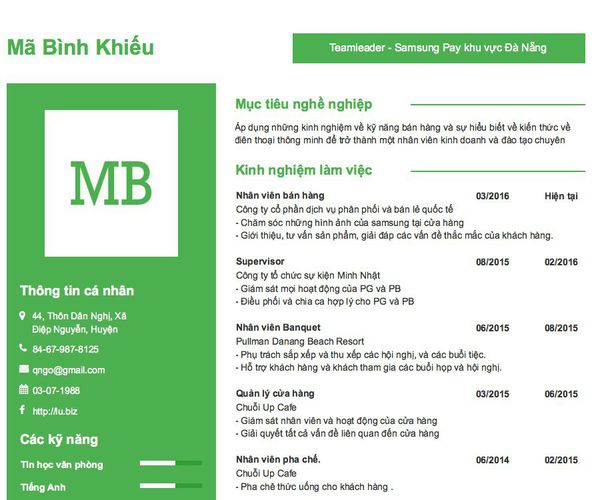 Mẫu CV Teamleader - Samsung Pay khu vực Đà Nẵng