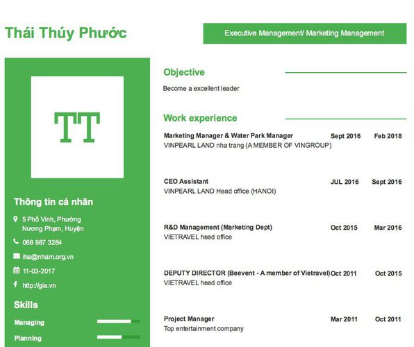 Mẫu CV Executive Management/ Marketing Management