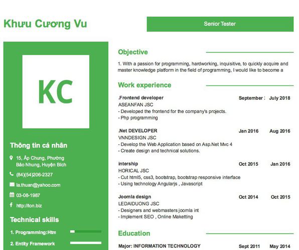 Mẫu CV Senior Tester