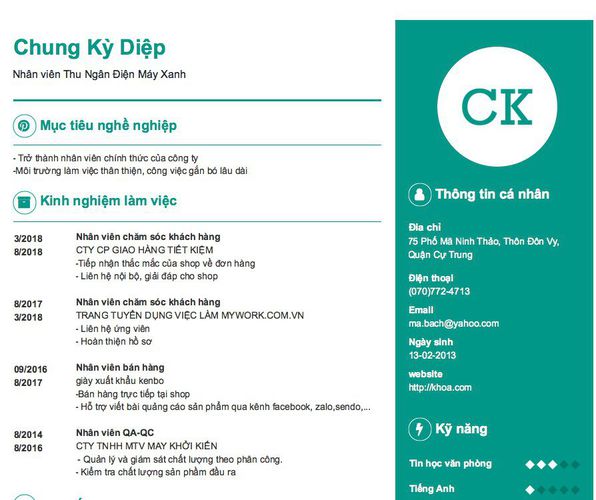 Mẫu CV Nhân viên Thu Ngân Điện Máy Xanh