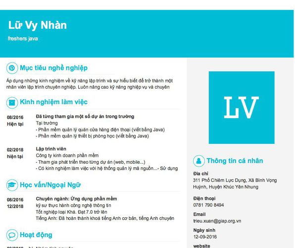 Mẫu CV freshers java