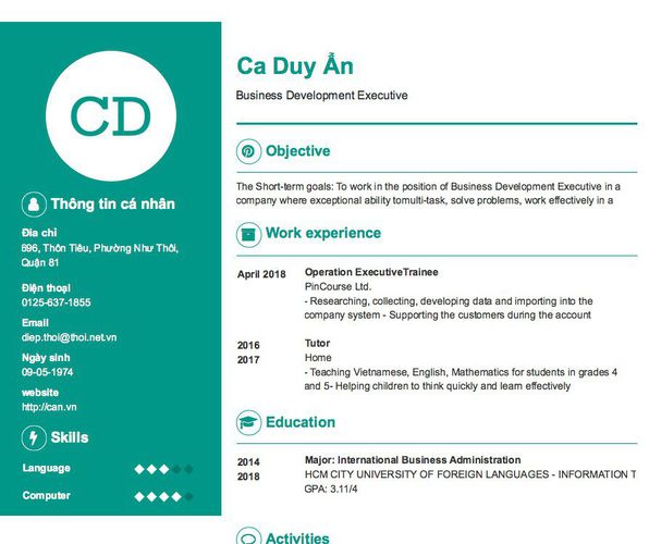 Mẫu CV Business Development Executive