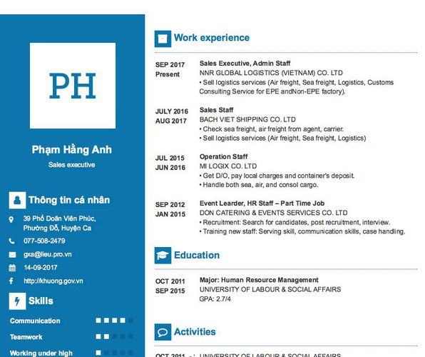 Mẫu CV Sales executive