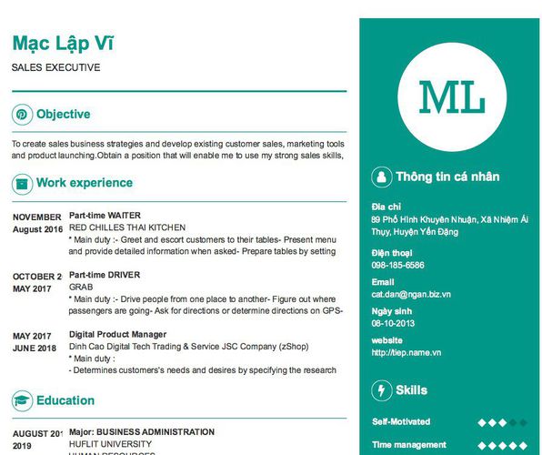Mẫu CV SALES EXECUTIVE