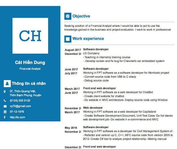 Mẫu CV Financial Analyst