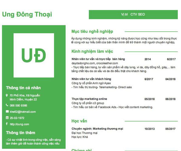 Mẫu CV Vị trí   CTV SEO