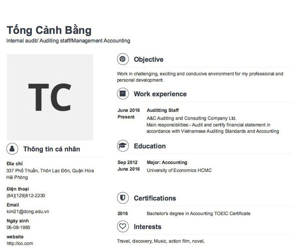Mẫu CV Internal audit/ Auditing staff/Management Accounting