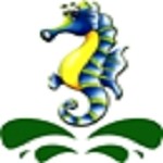 công ty tnhh sitto việt nam