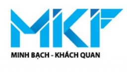 công ty tnhh kiểm toán và tư vấn mkf việt nam