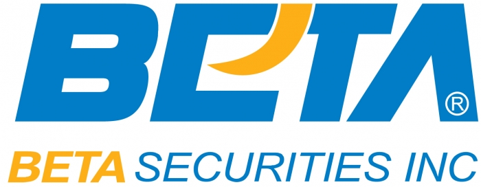 công ty cổ phần dịch vụ điện tử việt