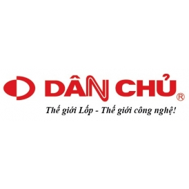 công ty tnhh dân chủ