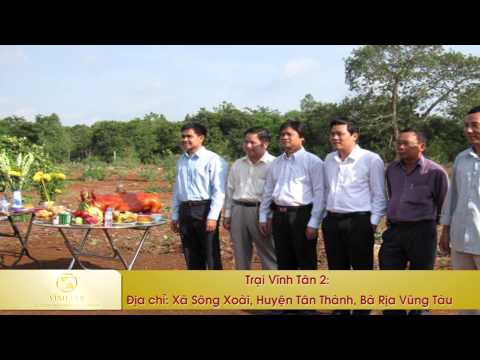 Công ty cổ phần chăn nuôi vĩnh tân