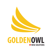 golden owl consulting company