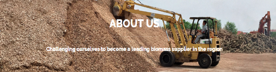 công ty cổ phần eastwood energy