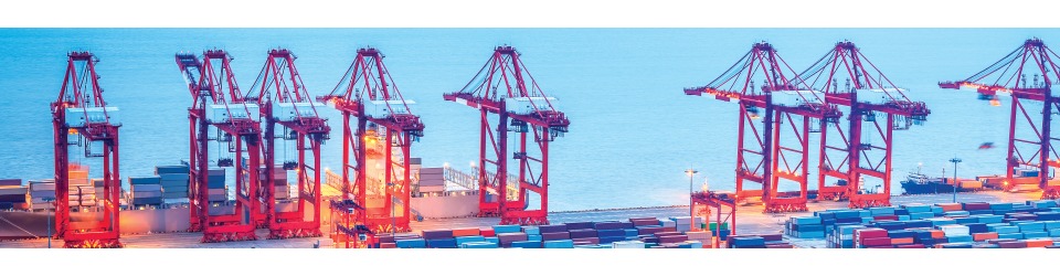 công ty cổ phần dịch vụ hàng hải hàng không con cá heo