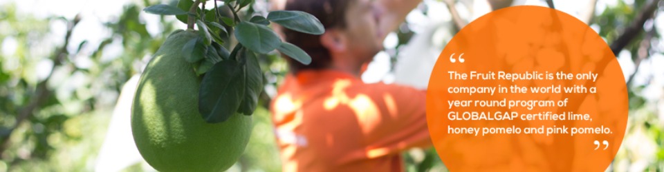 công ty tnhh mtv the fruit republic cần thơ