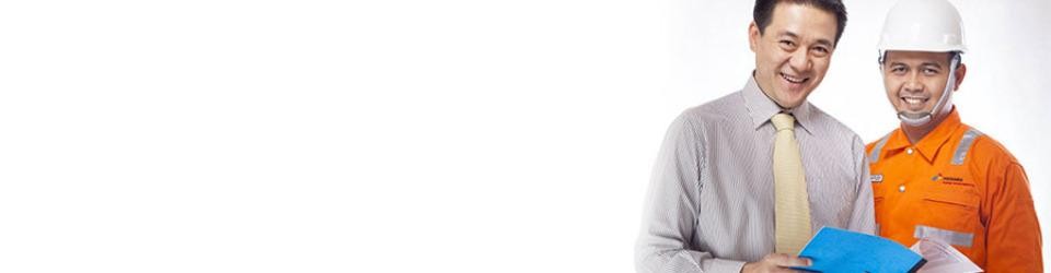 công ty tnhh điện tử umc việt nam