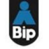 bip systems vietnam