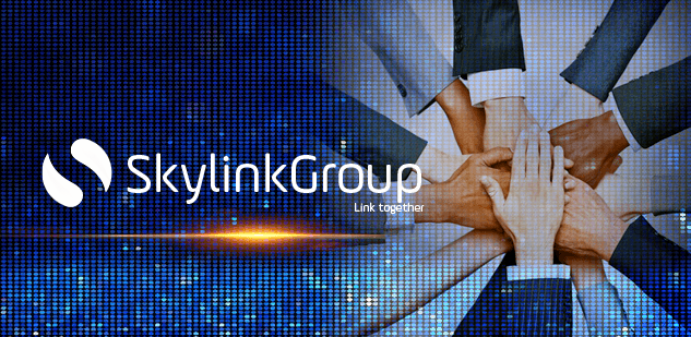 skylink press