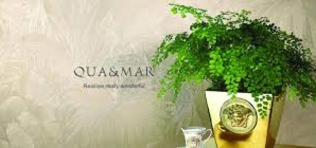 công ty tnhh thương mại excellence mar