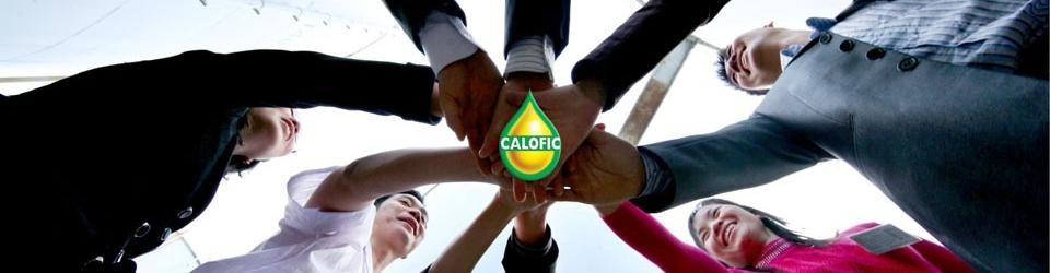 công ty tnhh wilmar agro việt nam