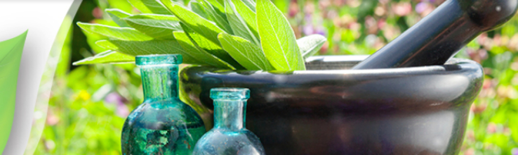 công ty cổ phần jadovie