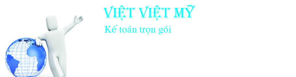 công ty tnhh dịch vụ tư vấn việt việt mỹ