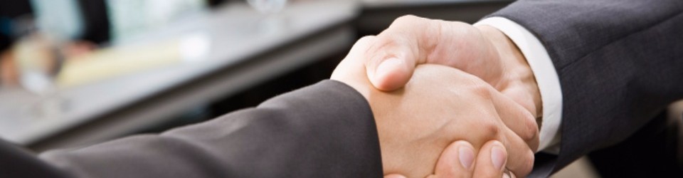 công ty tnhh toho vina