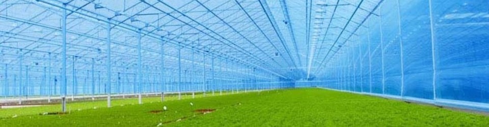 công ty cổ phần nhựa naaco