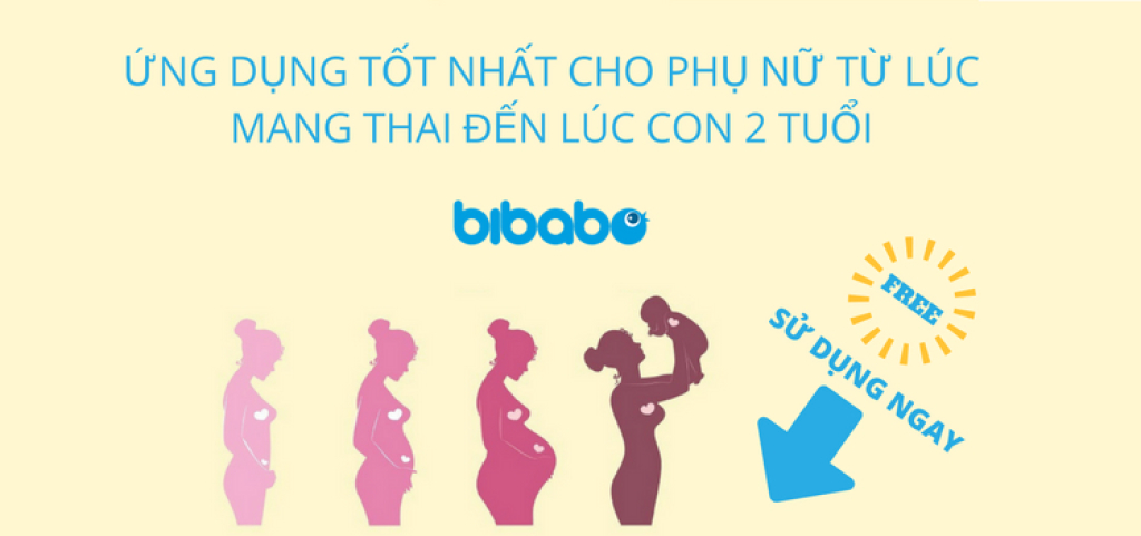 công ty tnhh bibabo