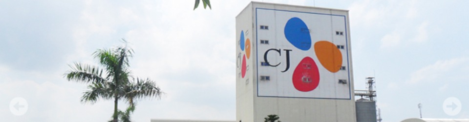 công ty tnhh cj vina agri - chi nhánh hưng yên