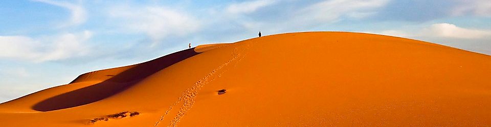 công ty tnhh thương mại fc việt nam