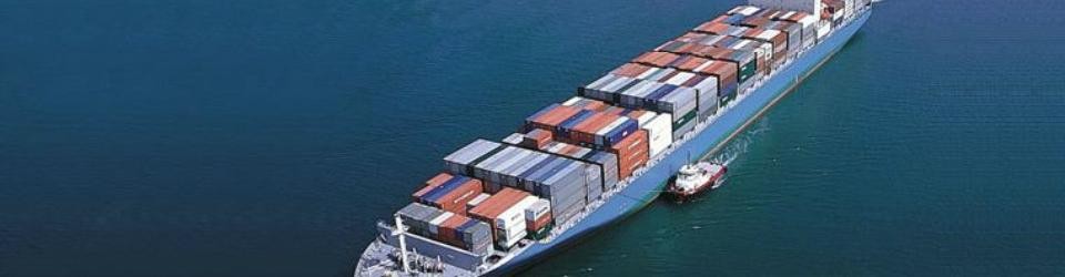 công ty cổ phần quốc tế thái bình dương