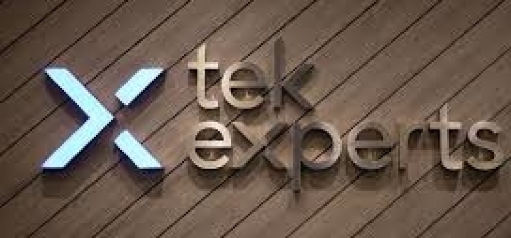 tek experts vietnam