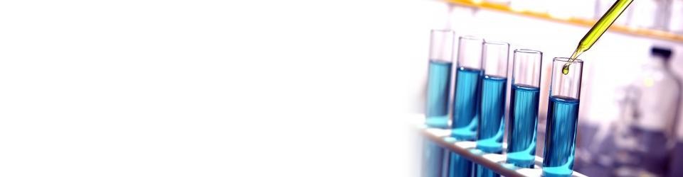 công ty tnhh đại bắc - miền nam