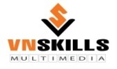 vnskills