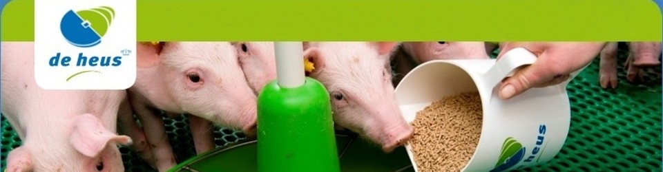 công ty tnhh de heus