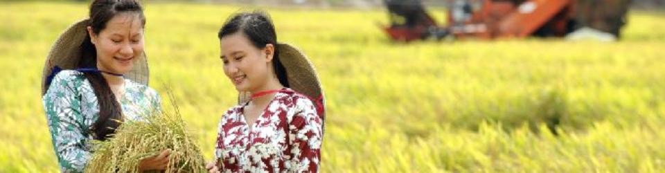 công ty cổ phần khử trùng việt nam