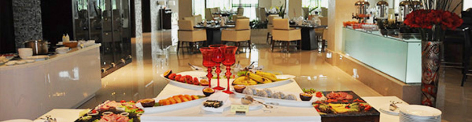 công ty tnhh hyundai e&c vina sông giá