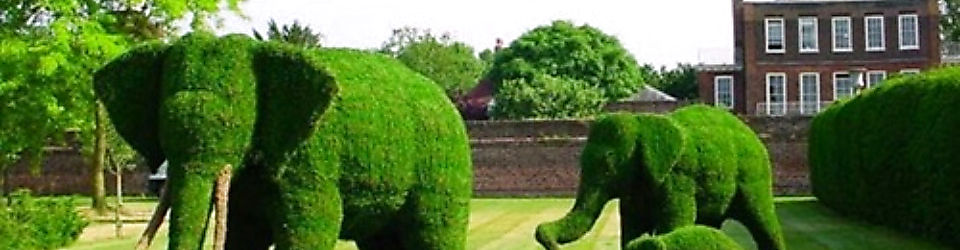 công ty tnhh quang cảnh xanh