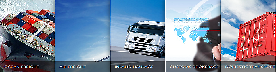 công ty tnhh thương mại và tiếp vận đại dương xanh