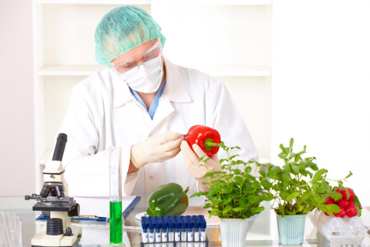 cơ hội nghề nghiệp ng&agrave;nh c&ocirc;ng nghệ thực phẩm