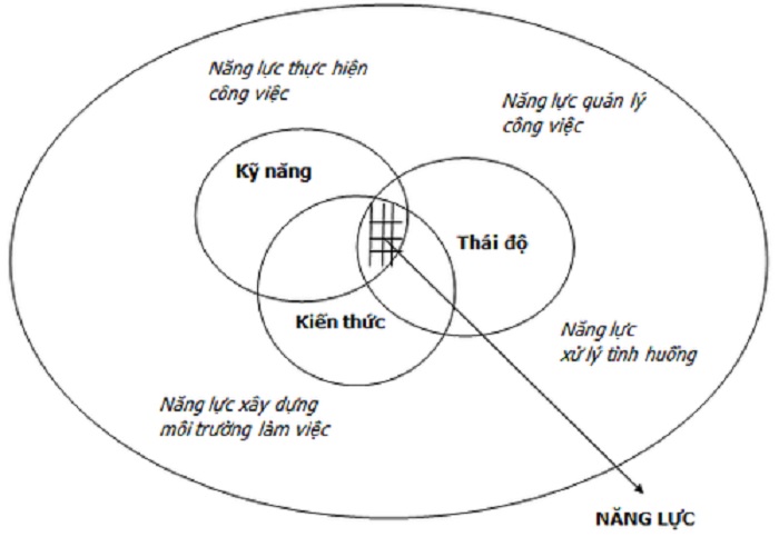 năng lực là gì