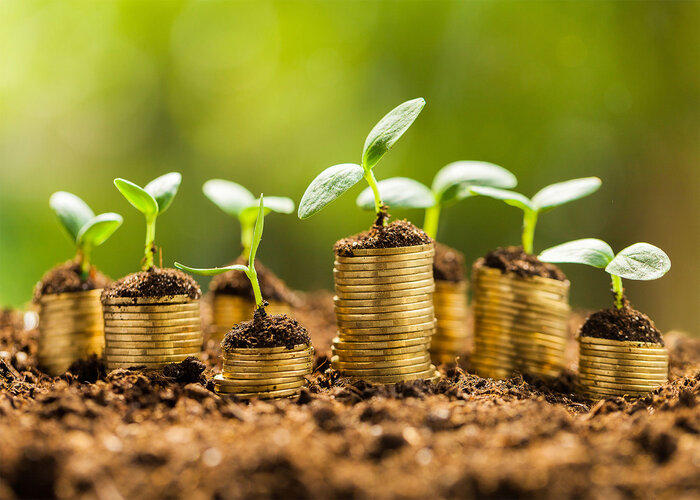 Bí quyết trở thành nhà đầu tư tài chính thông minh thời đại 4.0